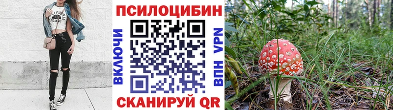 наркошоп Ясногорск Псилоцибиновые грибы Psilocybe